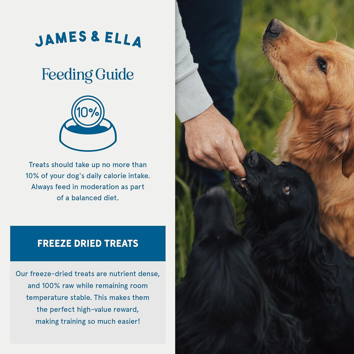 Freeze-Dried Dog Treats 40g