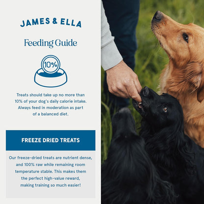 Freeze-Dried Dog Treats 40g