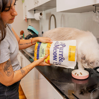 Adult Cat Superfood Complete Dry Cat Food, Turkey, 1.5kg