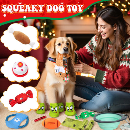 iZoeL Cat Advent Calendar 2026 Christmas Interactive Toys Indoor Cat Lover