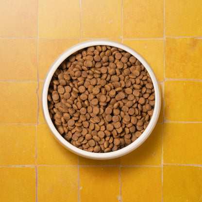 Adult Cat Superfood Complete Dry Cat Food, Turkey, 1.5kg