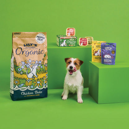 Lily's Kitchen Bedtime Biscuits - Complete Natural Dog Treats (8 x 80g)