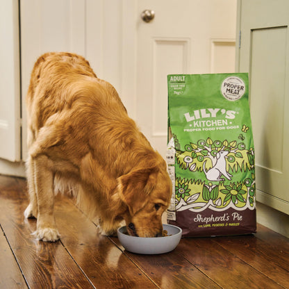 Natural Ingredients Adult Dry Dog Food Balanced Recipe