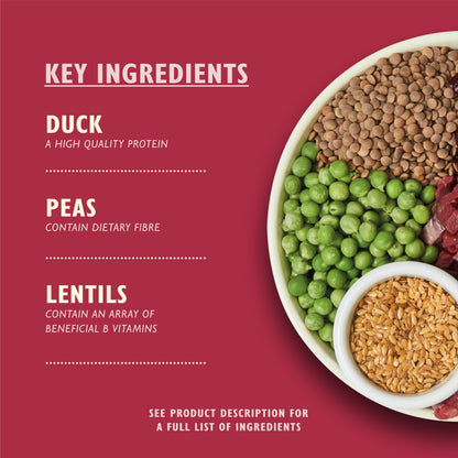 Natural Ingredients Adult Dry Dog Food Balanced Recipe