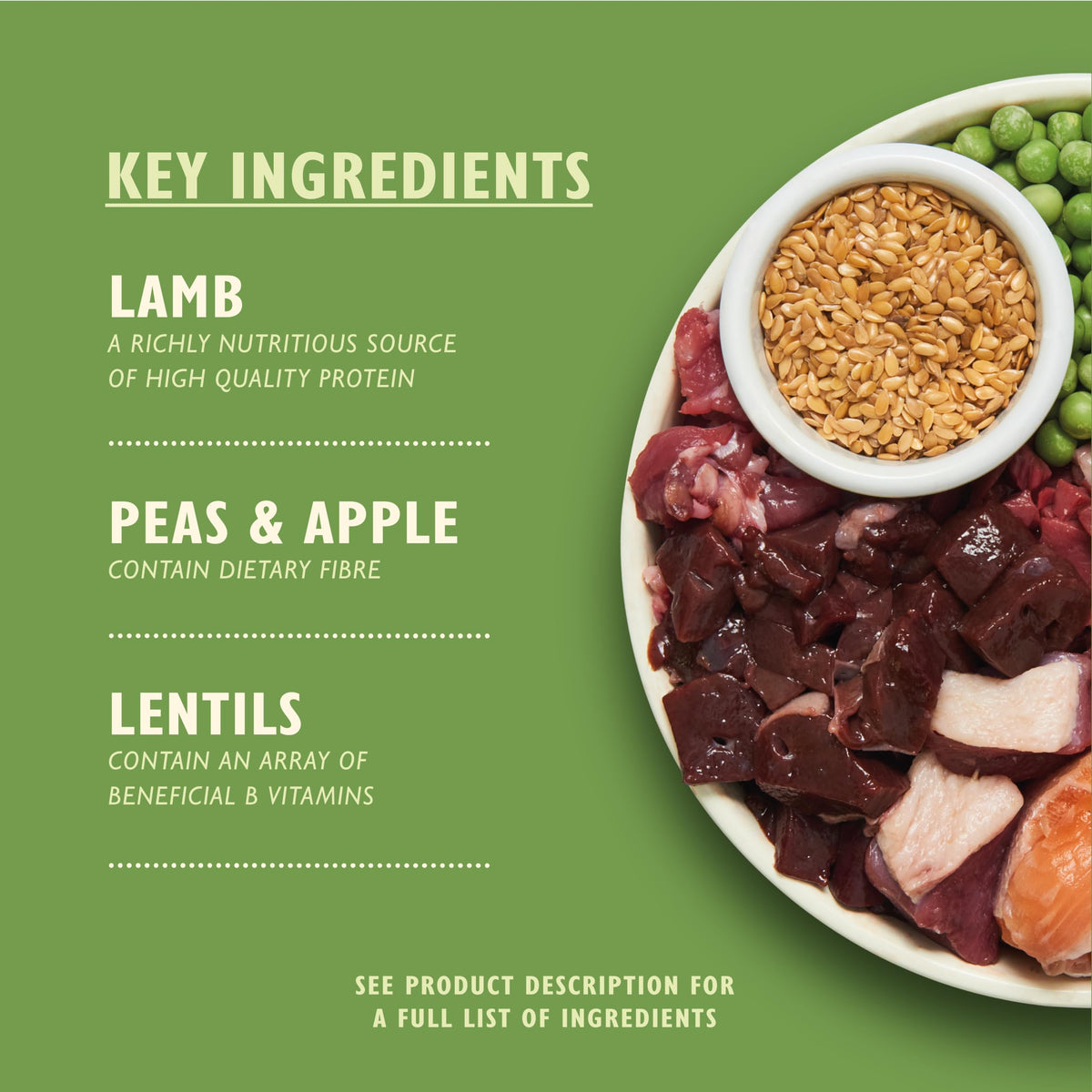 Natural Ingredients Adult Dry Dog Food Balanced Recipe