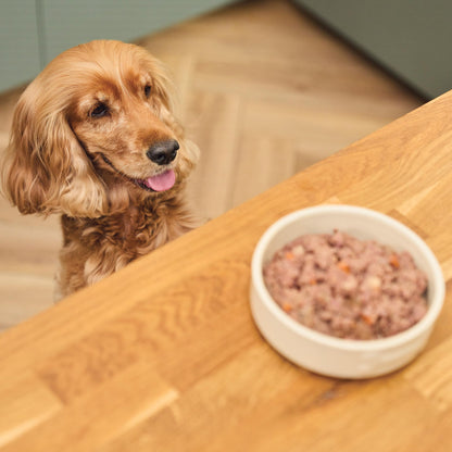 Natural Adult Wet Dog Food Cottage Pie Grain-Free Recipe 10 x 150g