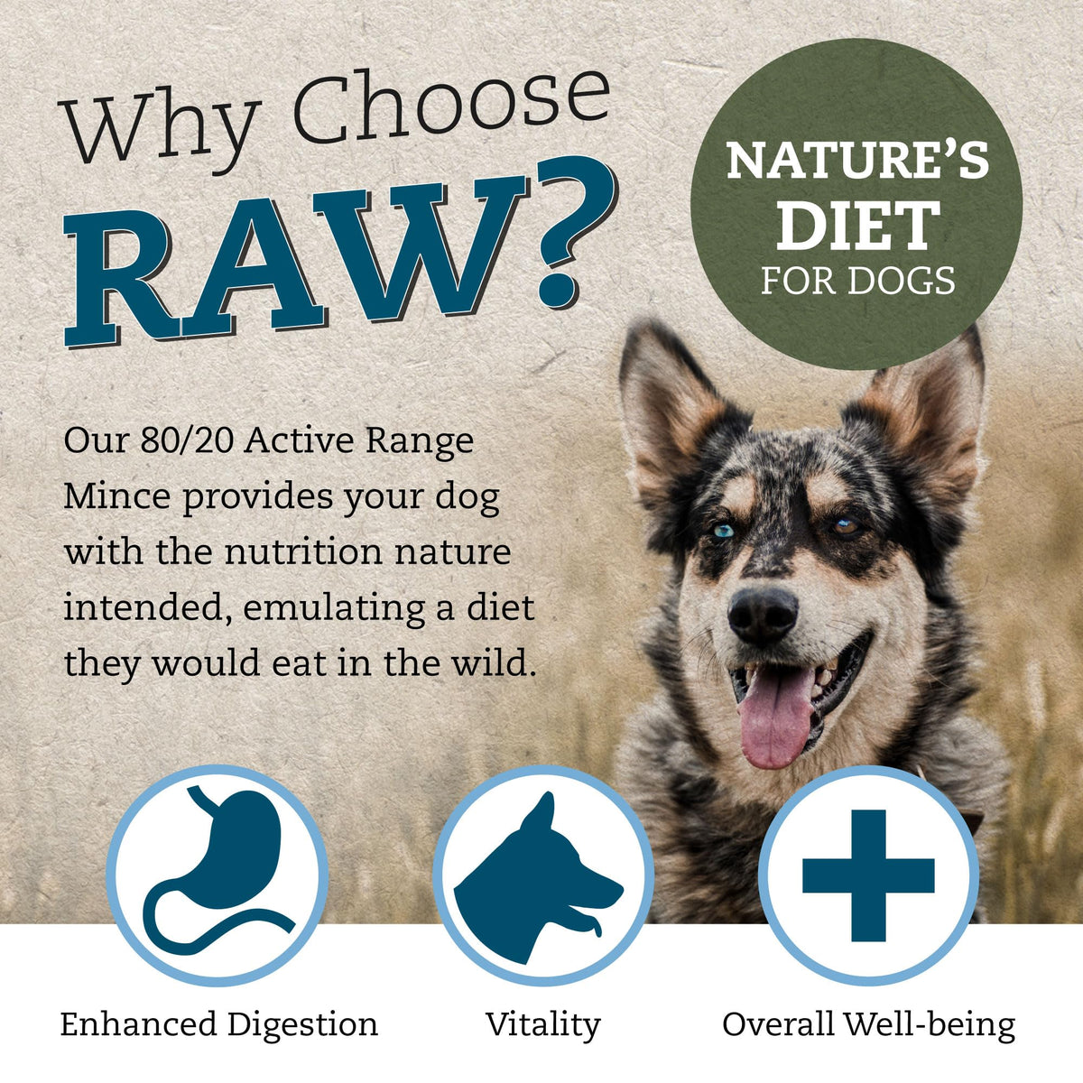 Raw Dog Food Active 80/20 Mince 7kg