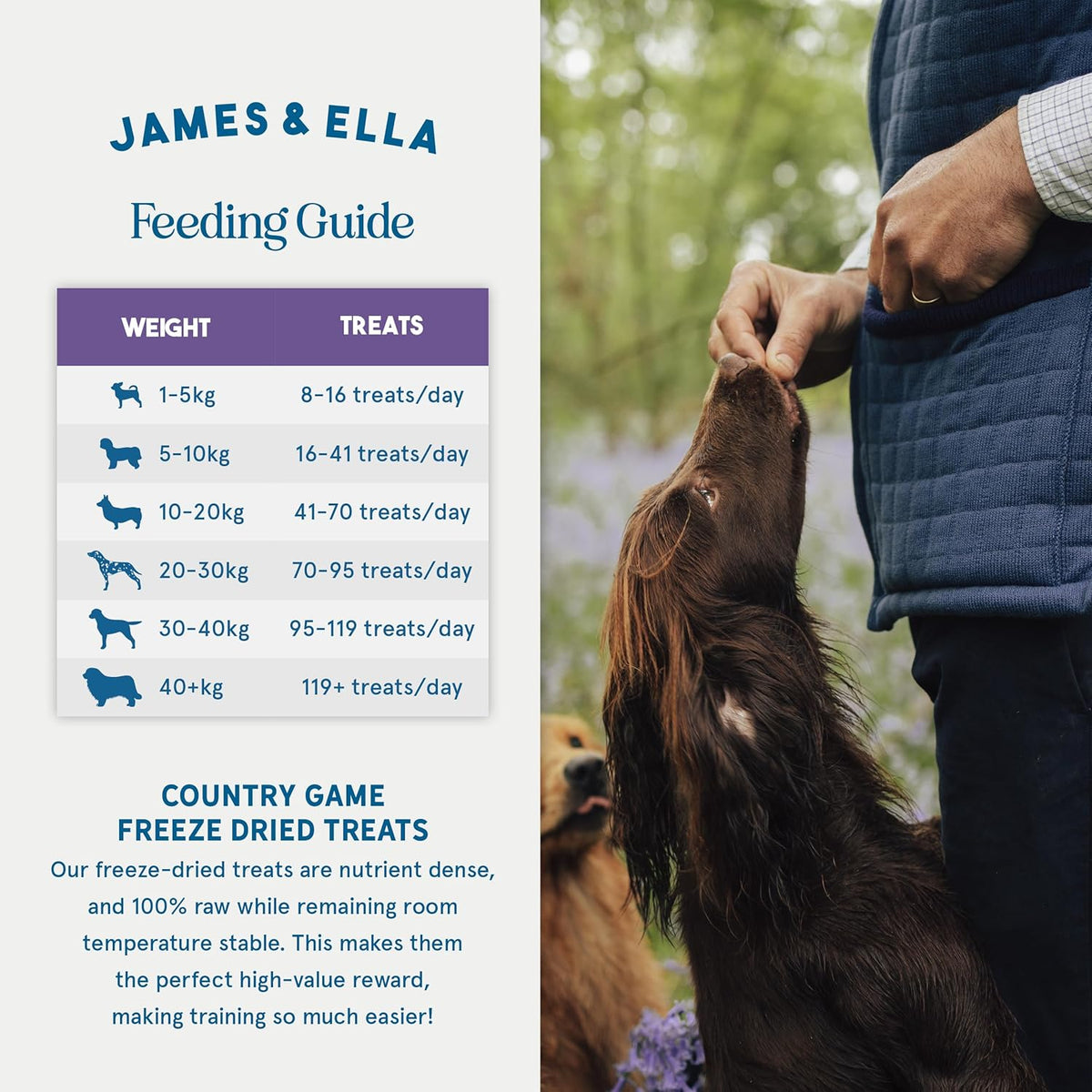 Freeze-Dried Dog Treats 40g