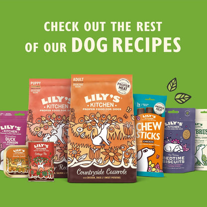 Lily's Kitchen Bedtime Biscuits - Complete Natural Dog Treats (8 x 80g)