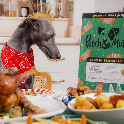 Pooch & Mutt - Christmas Advent Calendar for Dogs, Meaty Treats