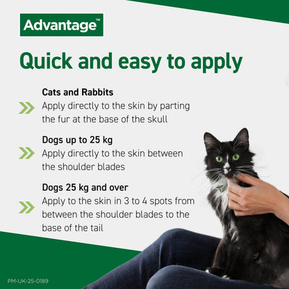 Flea Spot On Treatment for Dogs 10-25kg 1 Pipette