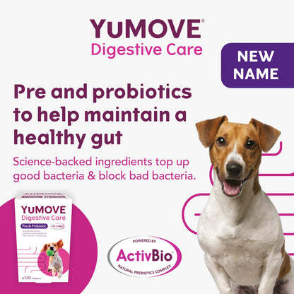 Digestive Care Dog Pre and Probiotic Supplement 120 Tablets