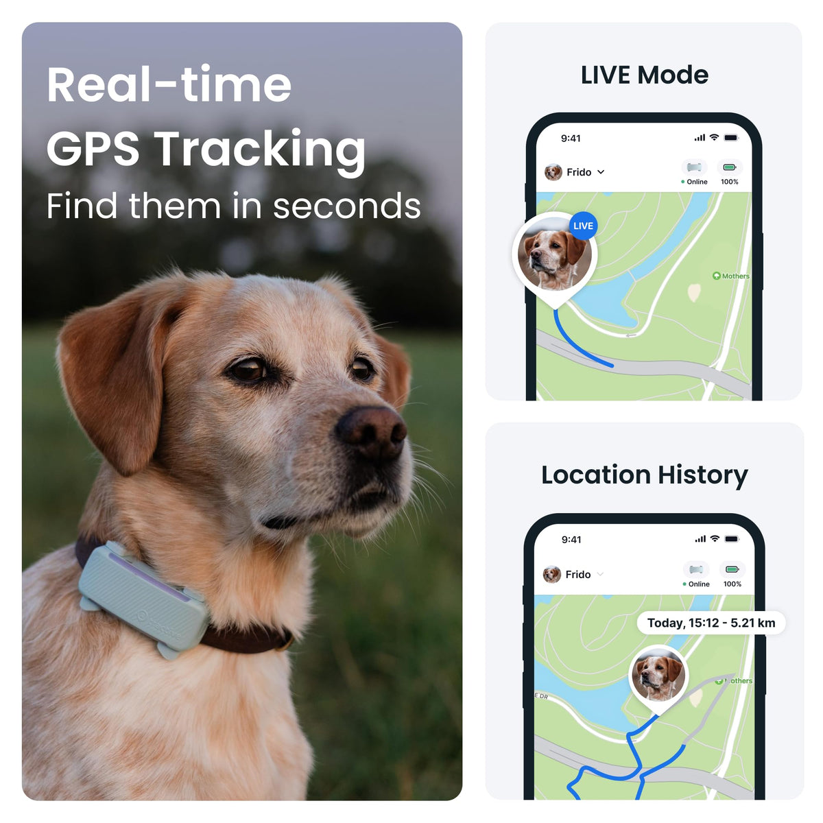 Smart Dog Tracker