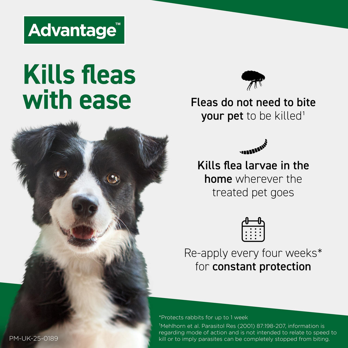 Flea Spot On Treatment for Dogs 10-25kg 1 Pipette