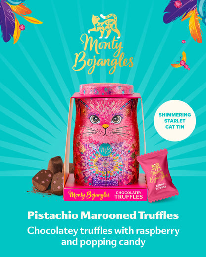 Monty Bojangles Kit-Tins Cocoa Dusted Chocolate Truffles Gift Set (4 x 36g) Four Flavours In One, Luxury Chocolatey Truffles - Collectable Cat Tins, Truffles Chocolate Gift Box With Bespoke Design