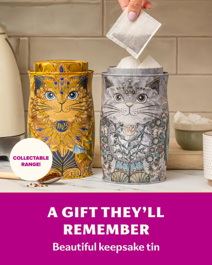 Monty Bojangles Kit-Tins Cocoa Dusted Chocolate Truffles Gift Set (4 x 36g) Four Flavours In One, Luxury Chocolatey Truffles - Collectable Cat Tins, Truffles Chocolate Gift Box With Bespoke Design