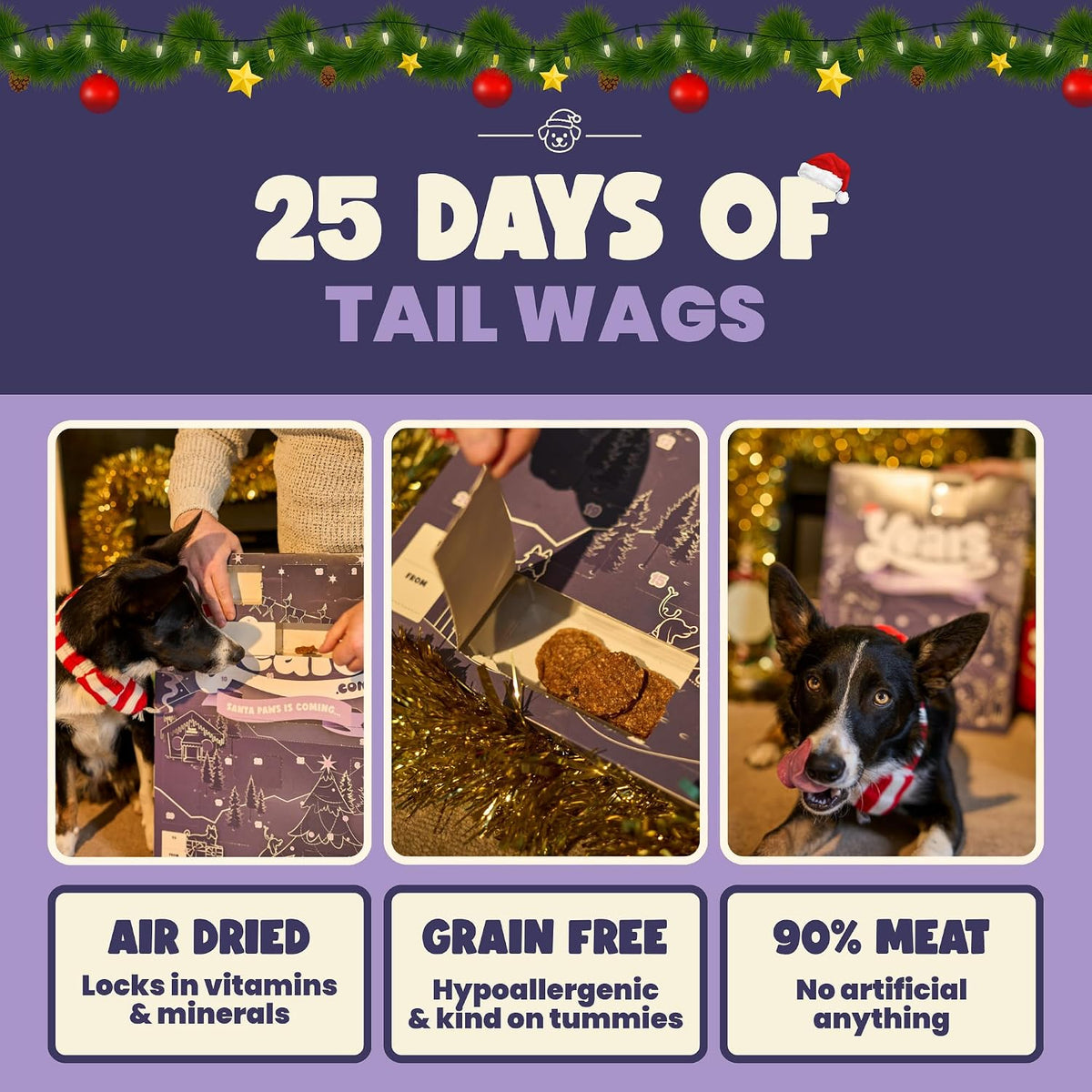 YEARS Extra Large Dog Advent Calendar 2026-55 Air Dried Grain Free Treats