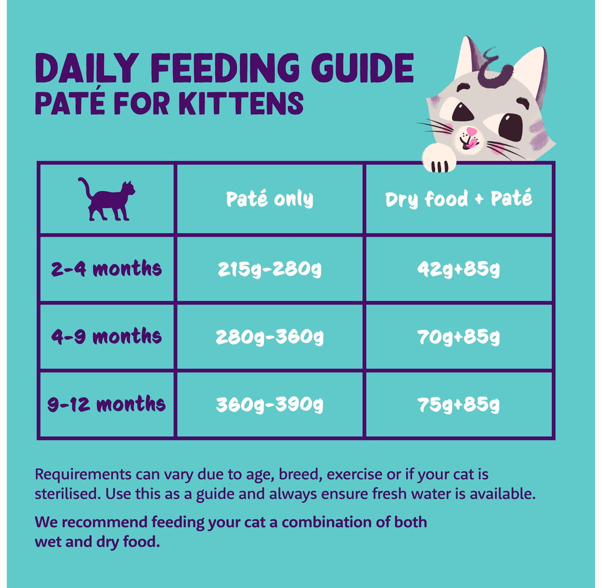 Grain Free Wet Cat Food Paté Salmon & Chicken 16 x 85g