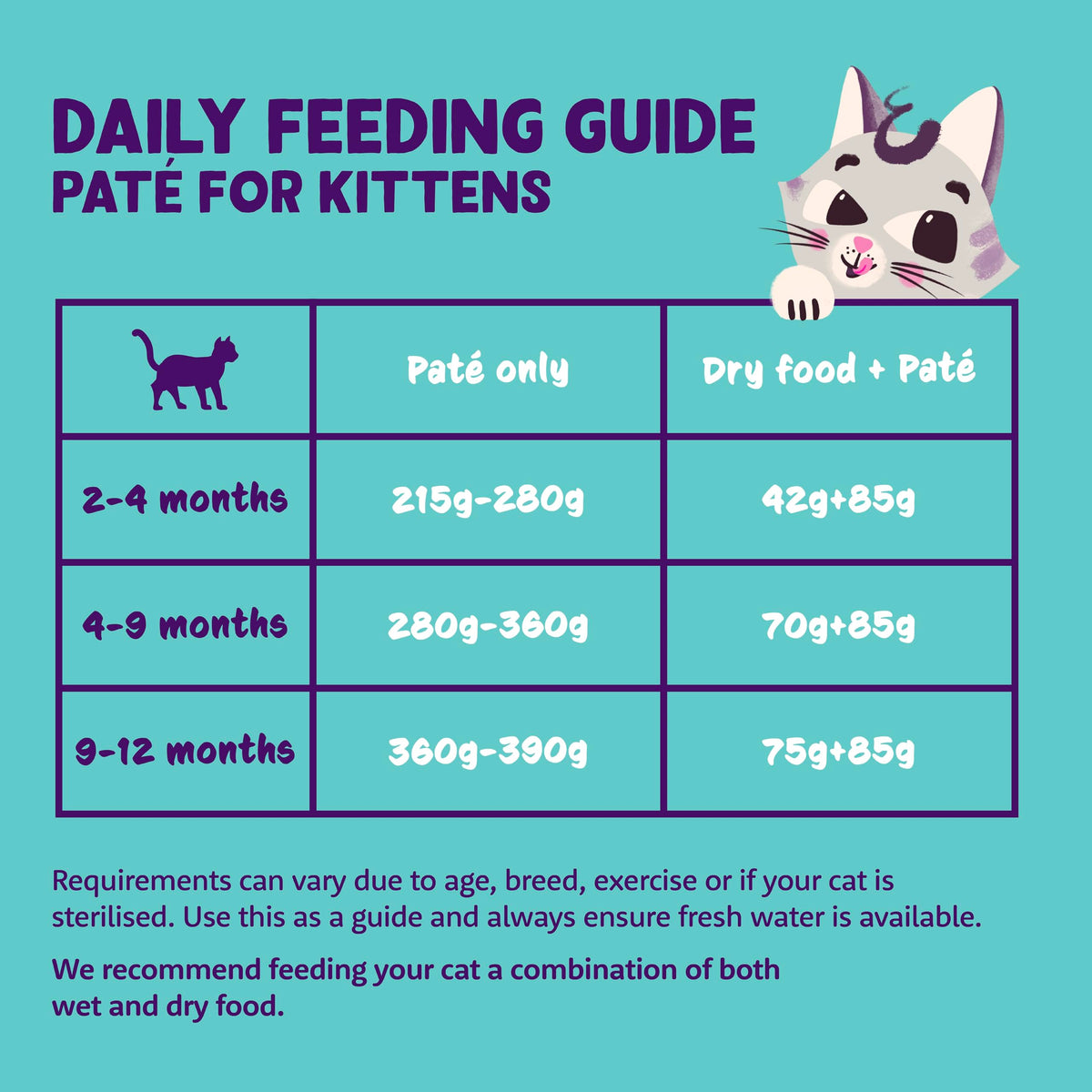 Grain Free Wet Cat Food Paté Salmon & Chicken 16 x 85g