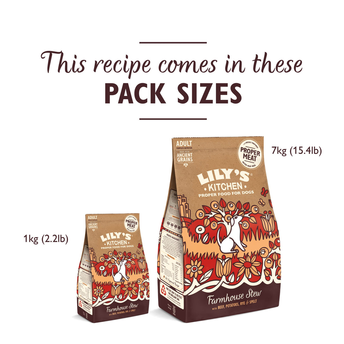 Natural Adult Dry Dog Food Beef Stew with Ancient Grains 1kg
