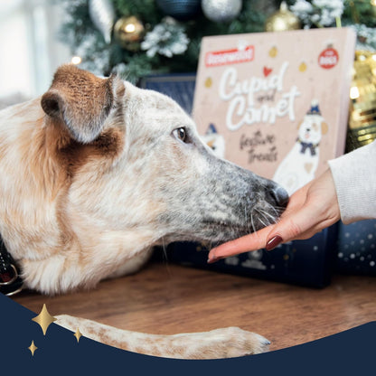Rosewood Cupid & Comet Luxury Deli Dog Advent Calendar, Dog Treats