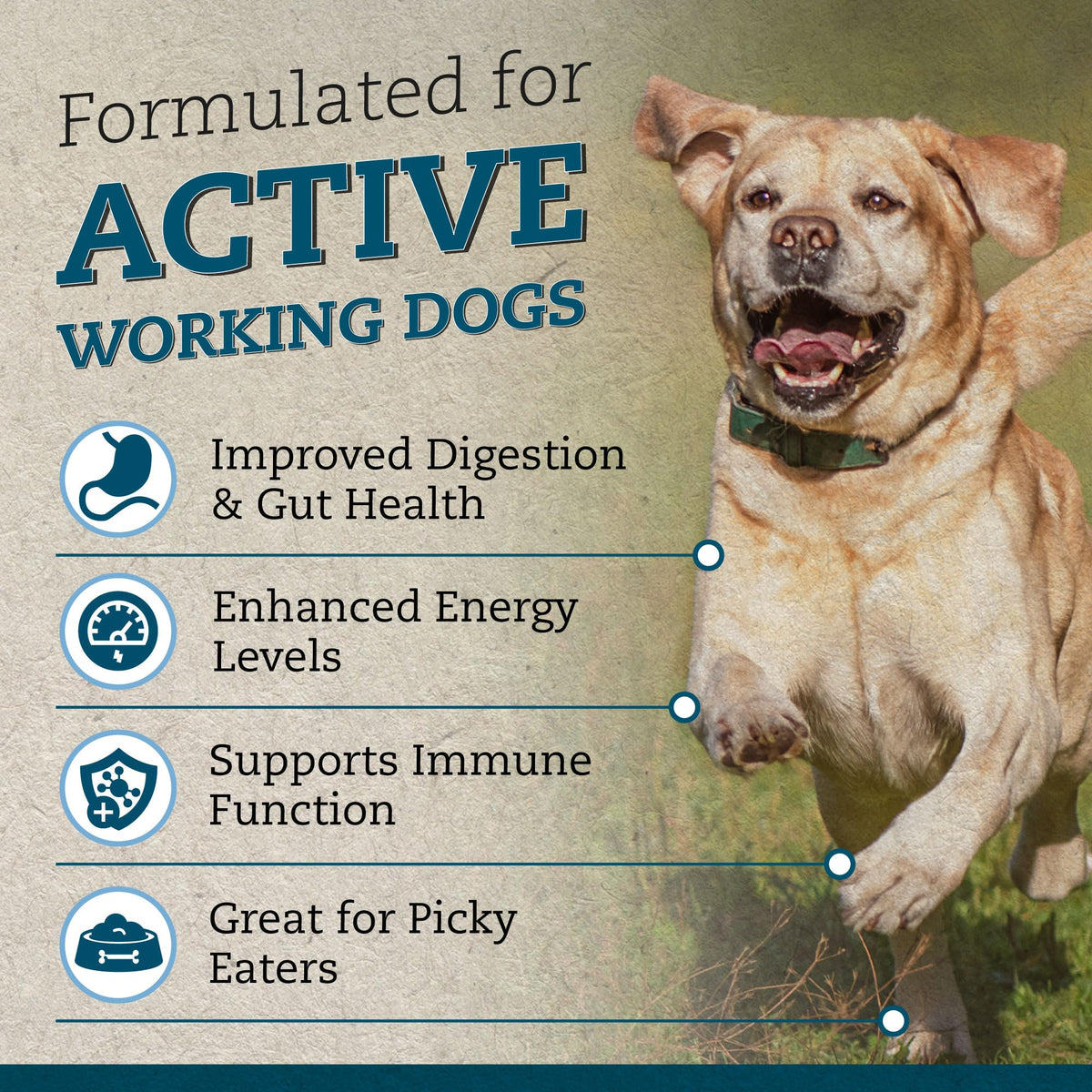 Raw Dog Food Active 80/20 Mince 7kg