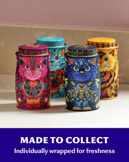 Monty Bojangles Kit-Tins Cocoa Dusted Chocolate Truffles Gift Set (4 x 36g) Four Flavours In One, Luxury Chocolatey Truffles - Collectable Cat Tins, Truffles Chocolate Gift Box With Bespoke Design