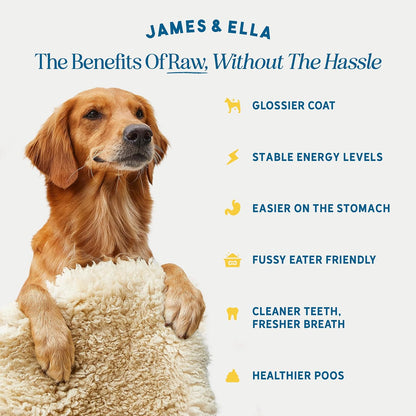 Freeze-Dried Dog Treats 40g
