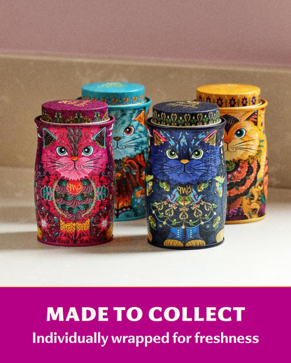 Monty Bojangles Kit-Tins Cocoa Dusted Chocolate Truffles Gift Set (4 x 36g) Four Flavours In One, Luxury Chocolatey Truffles - Collectable Cat Tins, Truffles Chocolate Gift Box With Bespoke Design