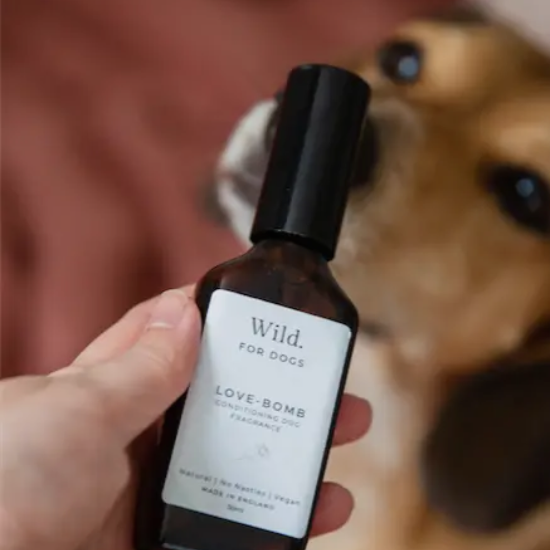 Love Bomb Dog Fragrance - Sayby’s Sanctuary 