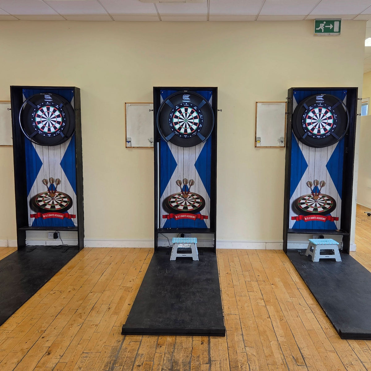 Newcastle - 1996 Home - Personalised Darts Wall Banner - Two Sizes [COLLECTIVE]
