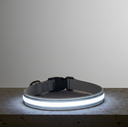 LED Night Collar - White