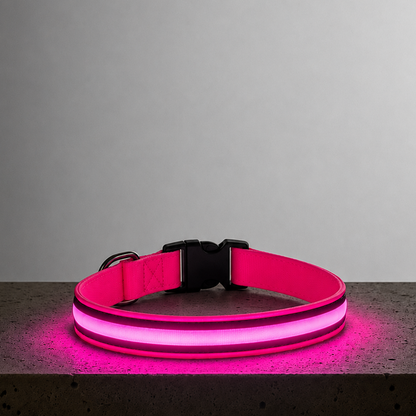 LED Night Collar - Pink