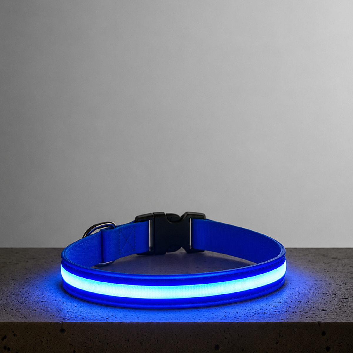 LED Night Collar - Blue