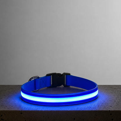 LED Night Collar - Blue