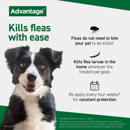 Advantage 250 Flea Spot On Treatment 1 Pipette 2.5ml 10-25kg - Sayby’s