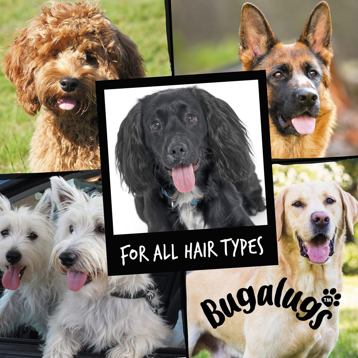 BUGALUGS Baby Fresh Dog Shampoo grooming products for smelly dogs with baby powder scent, best puppy shampoo, Vegan pet shampoo professional (625ml) - Sayby’s