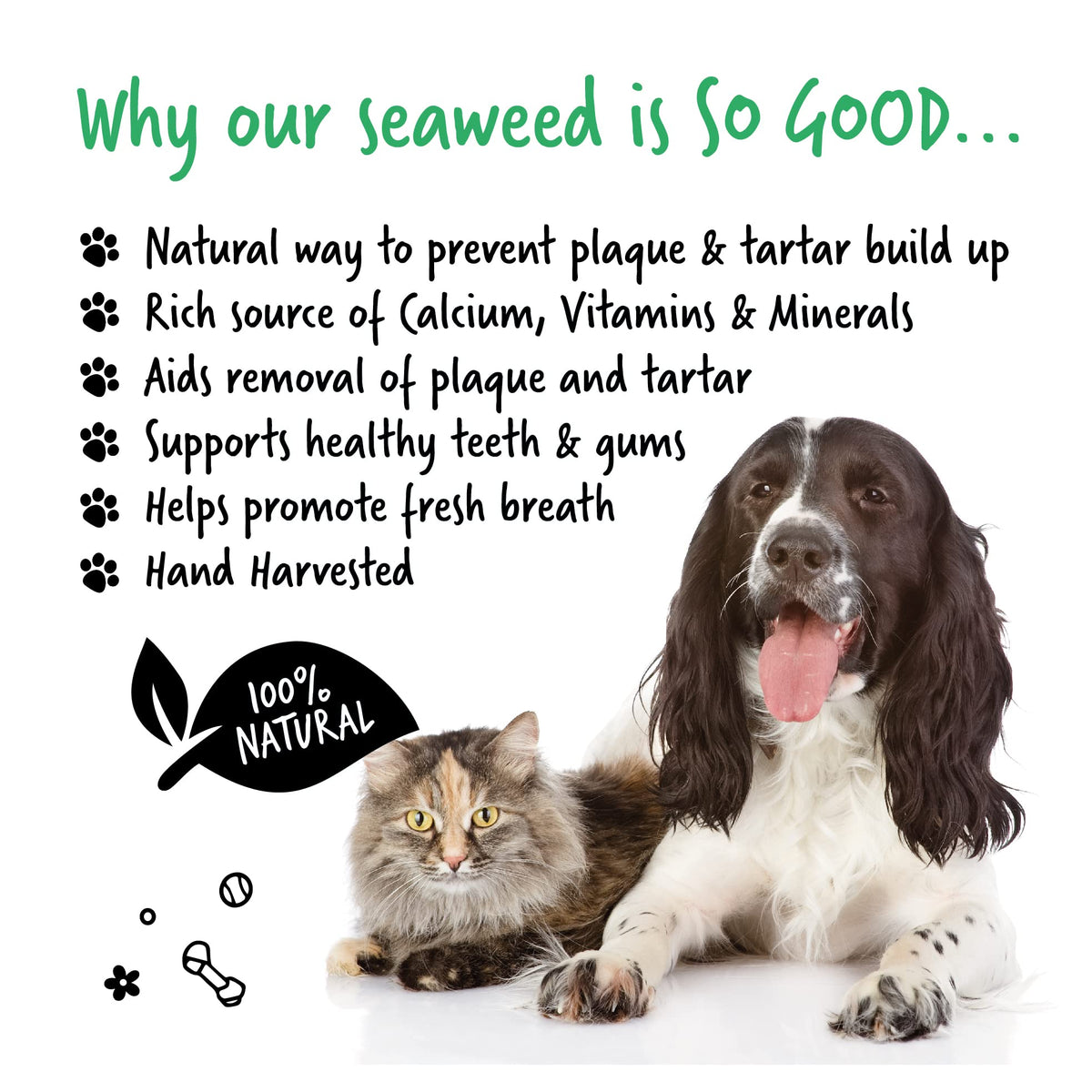 BUGALUGS Plaque Off Remover for Dog 70g Teeth & Bad Breath 100% Natural | Plaque Off Dogs No Need for Dog Toothbrush or Dog Toothpaste | Remove Dog Bad Breath & Plaque Remover for Dogs & Cats (70g) - Sayby’s