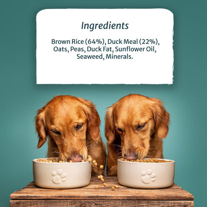 Burns Pet Nutrition Hypoallergenic Complete Dry Dog Food Adult and Senior Dog Sensitive with Duck and Brown Rice 2 kg - Sayby’s