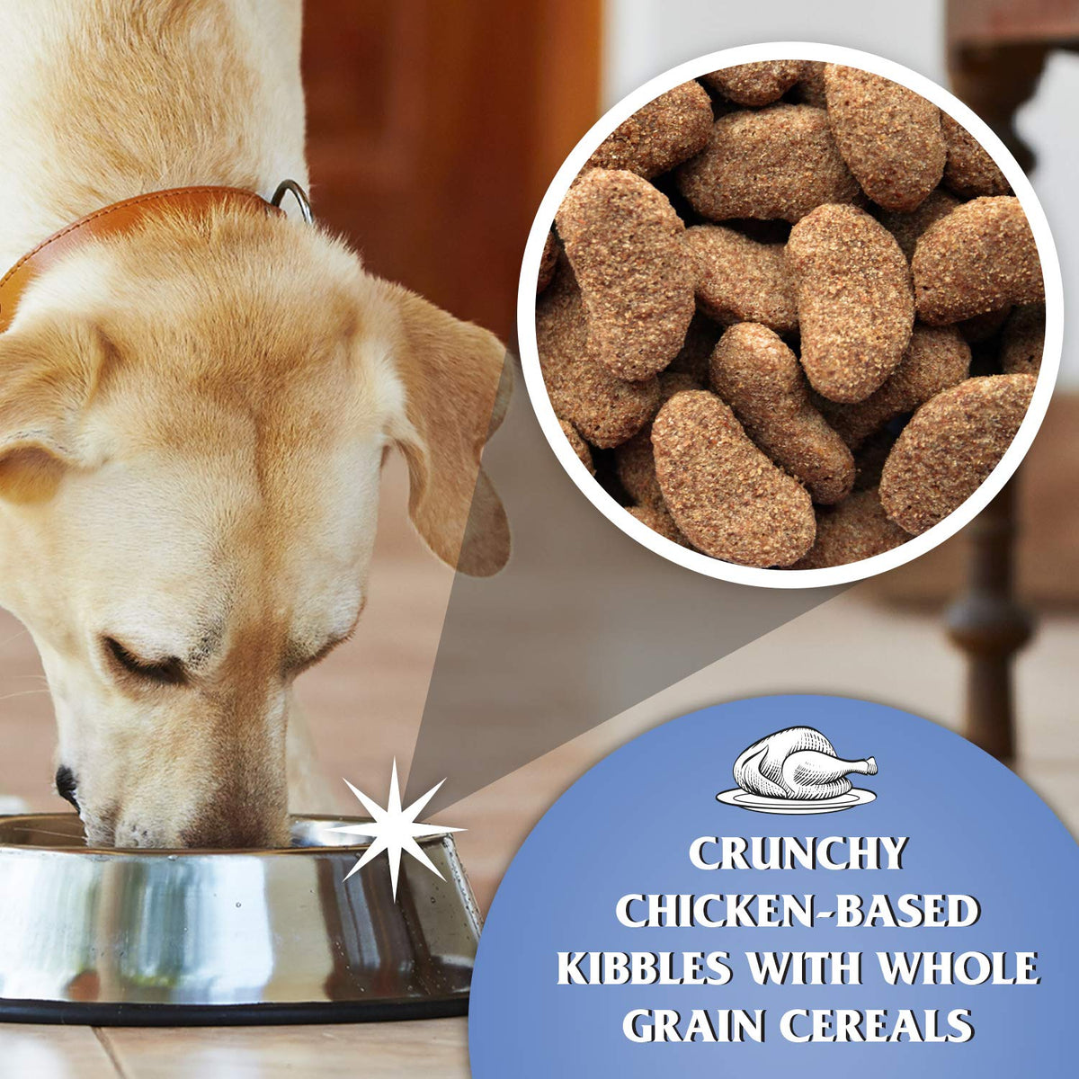 Dr John Silver Dry Dog Food 15kg - Beef with Vegetables - Complete Dog Biscuits 15kg - Senior and Adult Dog Food for Light Activity, Maintenance and Resting Dogs - Sayby’s