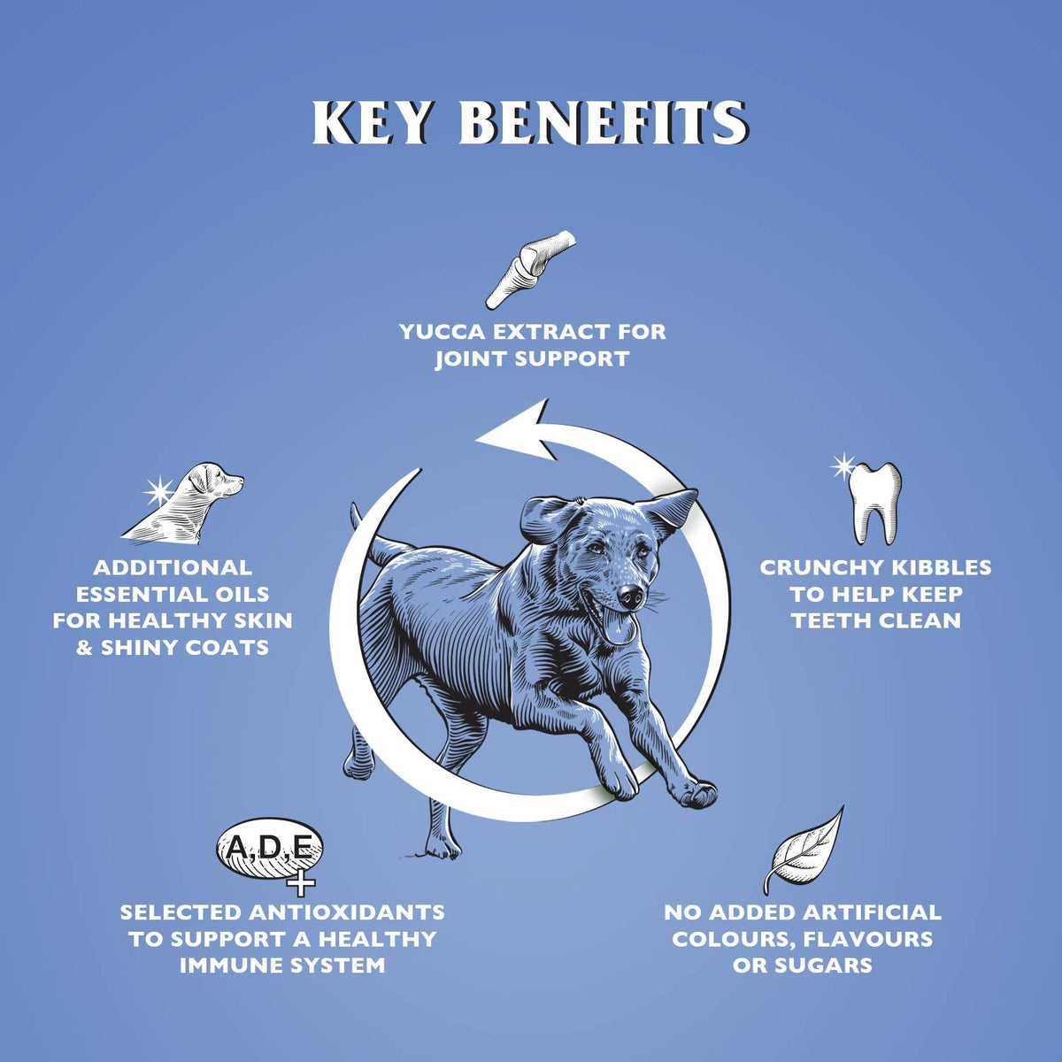 Dr John Silver Dry Dog Food 15kg - Chicken with Vegetables - Complete Dog Biscuits 15kg - Senior and Adult Dog Food for Light Activity, Maintenance and Resting Dogs - Sayby’s