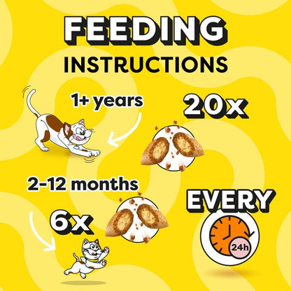 DREAMIES - Cat Treats - 12 x 60g - Multipack Biscuits - Variety Snack Box - 12 Pouches - Sayby’s
