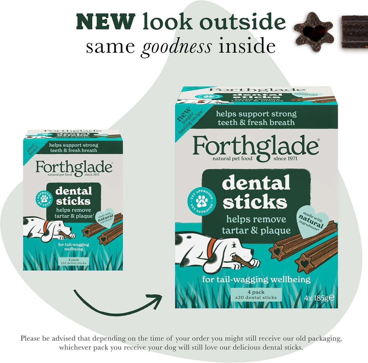 Forthglade Natural Dog Dental Sticks (20 Sticks) - Plant-Based & Grain Free Dog Treats, Dental Chews for Fresh Breath, Removes Plaque and Tartar, Resealable Bags - Sayby’s