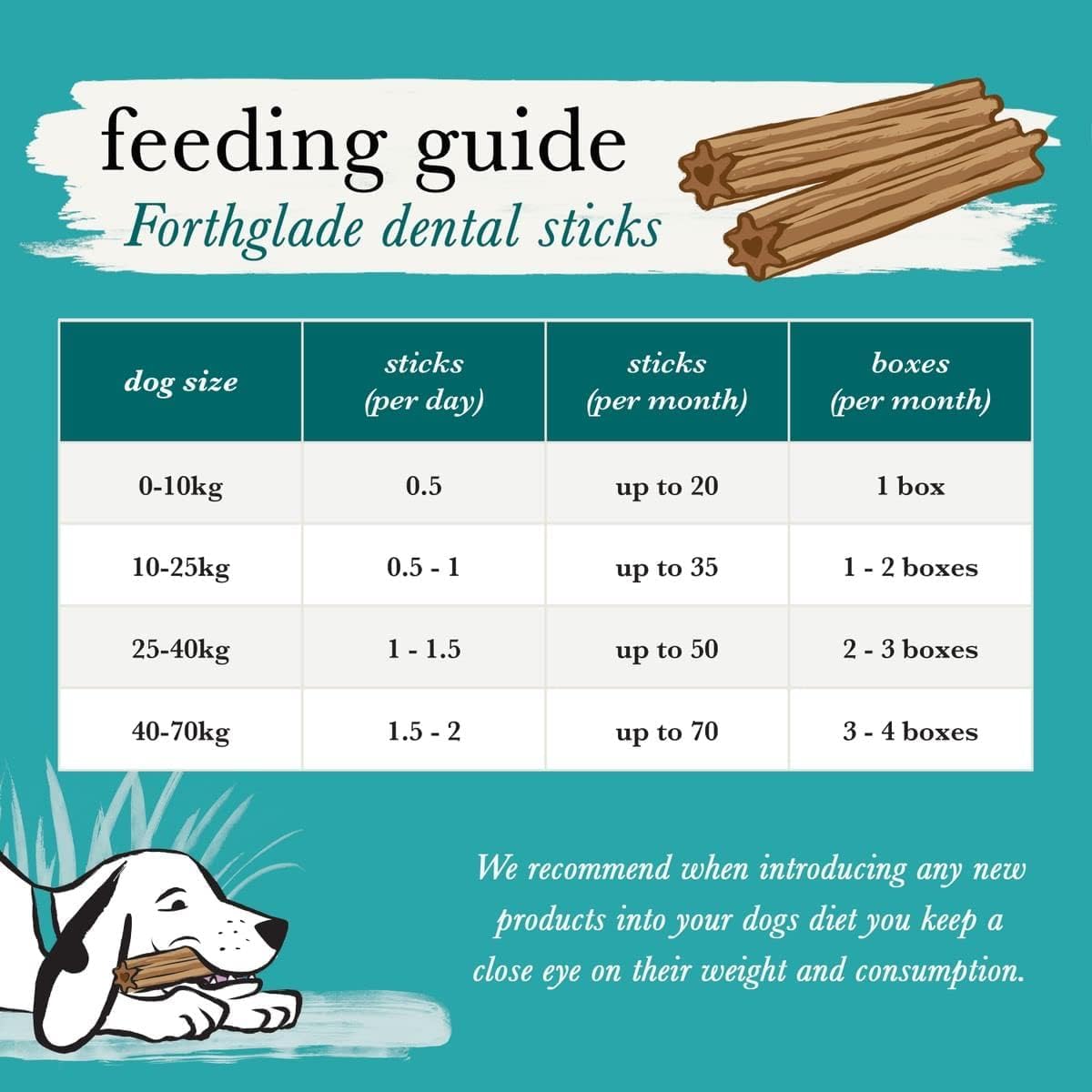Forthglade Natural Dog Dental Sticks (20 Sticks) - Plant-Based & Grain Free Dog Treats, Dental Chews for Fresh Breath, Removes Plaque and Tartar, Resealable Bags - Sayby’s