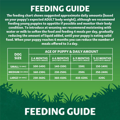 Harringtons Superfoods Complete Grain Free Dry Adult Dog Food Chicken with Veg 1.7kg (Pack of 4) - Made with All Natural Ingredients (Packaging may vary) - Sayby’s