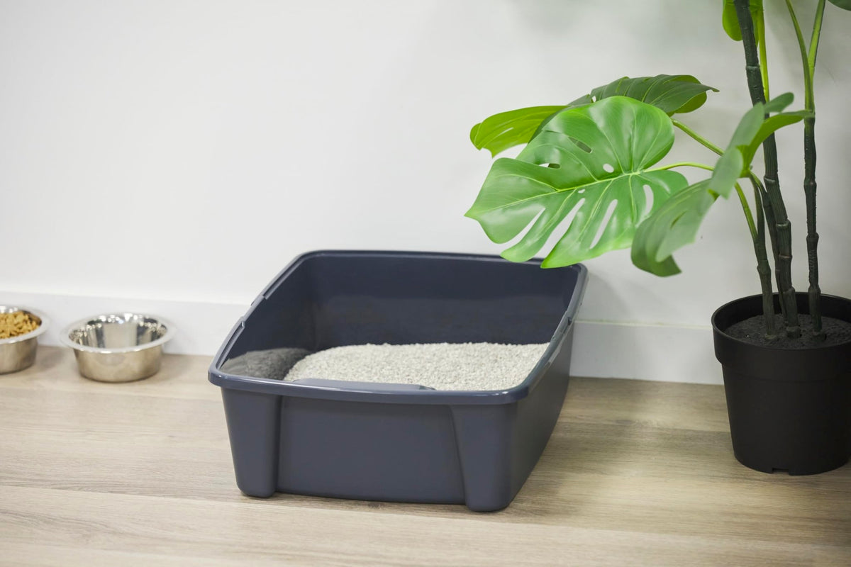 Iris Ohyama Cat Litter Tray with Scoop, Grey, Easy to Clean, Cat Litter Box, Detachable Spill Preventing Walls, For Kittens, Adult Cats, Rabbits, BPA Free, Open Top, Modern, CLH-12 - Sayby’s