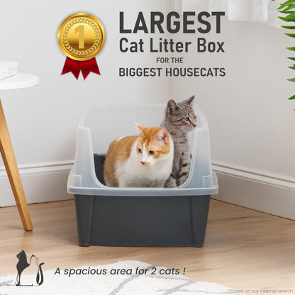 Iris Ohyama Cat Litter Tray with Scoop, Grey, Easy to Clean, Cat Litter Box, Detachable Spill Preventing Walls, For Kittens, Adult Cats, Rabbits, BPA Free, Open Top, Modern, CLH-12 - Sayby’s