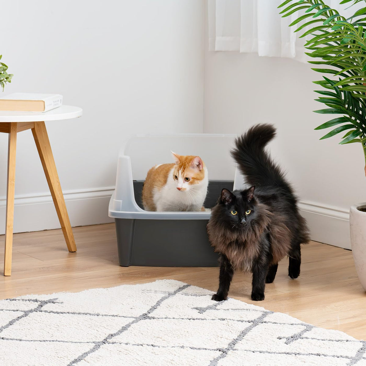 Iris Ohyama Cat Litter Tray with Scoop, Grey, Easy to Clean, Cat Litter Box, Detachable Spill Preventing Walls, For Kittens, Adult Cats, Rabbits, BPA Free, Open Top, Modern, CLH-12 - Sayby’s