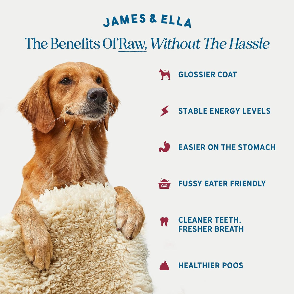 James & Ella Freeze-Dried Dog Treats (40g) ❘ Delicious Country Game Freeze-Dried Dog Treats, Packed with Protein, Essential Oils & Minerals for Happy, Healthy Dogs, Lightweight & Gluten Free - Sayby’s