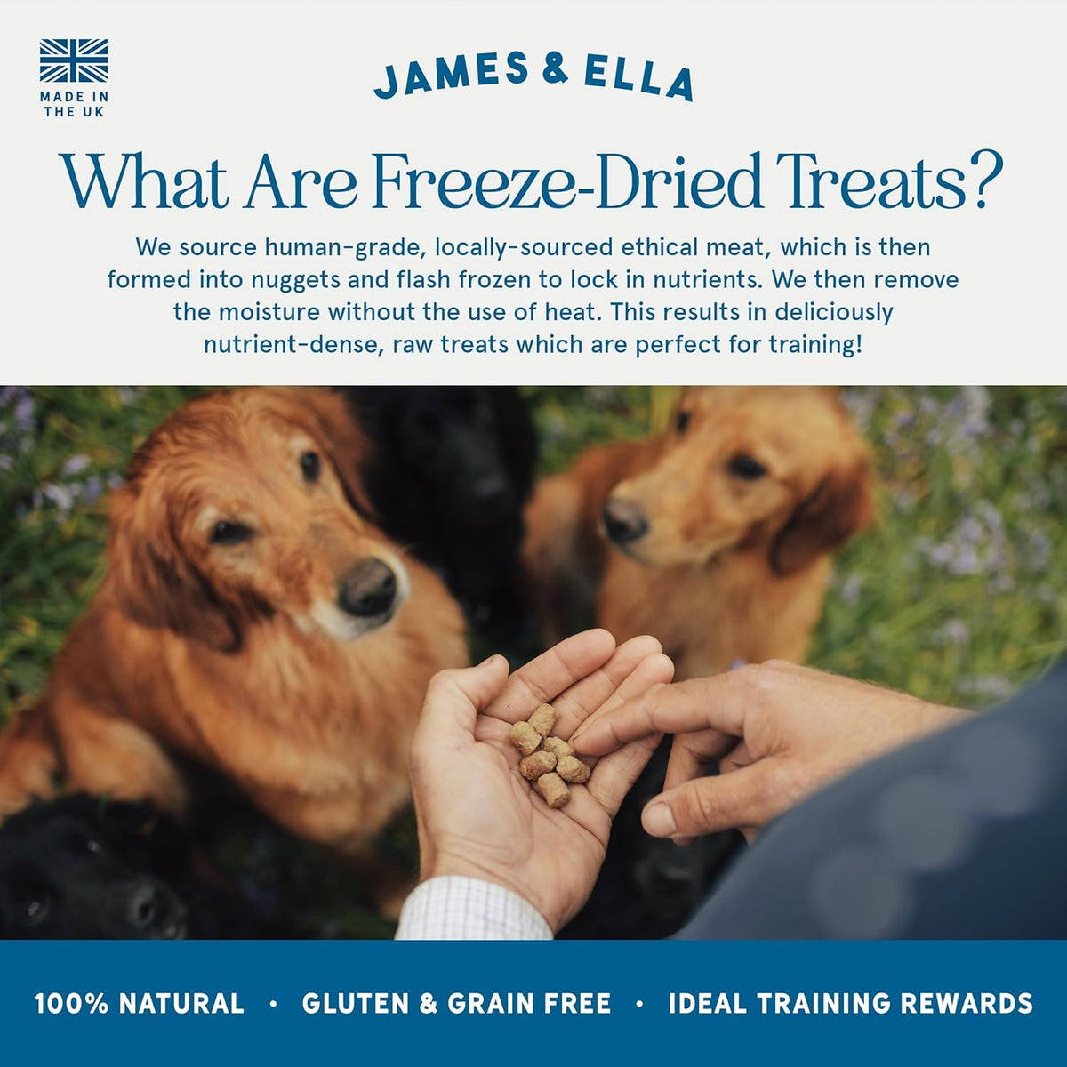 James & Ella Freeze-Dried Dog Treats (40g) ❘ Delicious Country Game Freeze-Dried Dog Treats, Packed with Protein, Essential Oils & Minerals for Happy, Healthy Dogs, Lightweight & Gluten Free - Sayby’s